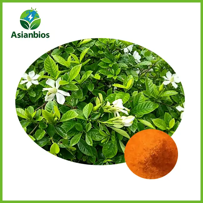 Gardenia Extract Powder